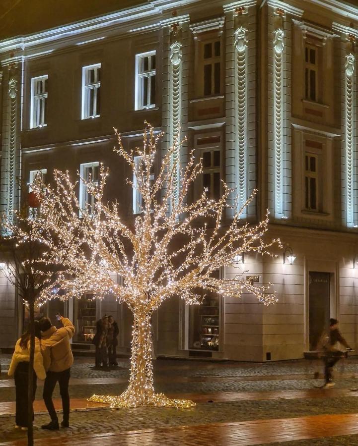 Central Luxury Home Тимишоара Экстерьер фото