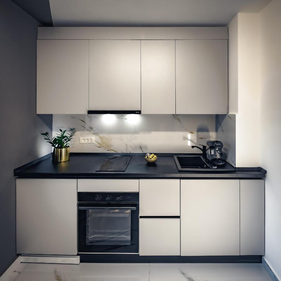 Central Luxury Home Тимишоара Экстерьер фото